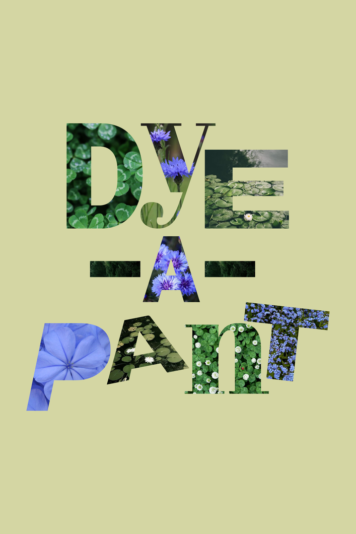 Dye-A-Pant (Preorder)